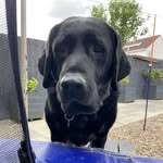 Abbie Davidson - @abbiedavidson61298 - Instagram