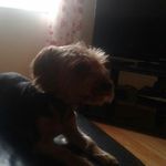 Abbie Dolan - @abbie_dolan1 - Instagram