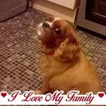 Abbie Duncan - @abbie.duncan.509 - Instagram