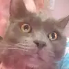 Abbie duncan - @hey.11118 - TikTok