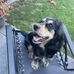 Abbie Dunn - Facebook