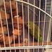 Abigail Echols - Facebook