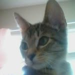 Abbie Erickson - @erickson.abbie - Instagram