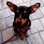 Abby Ewing - @pilcrowhillside - Instagram