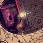 Abbie Fish - @abbiefish2415 - Instagram