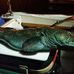 F/V Abbie-J, Fresh Ocean Caught Fish. Ask for Rob, - Facebook