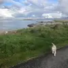 abbie - @abbie.flaherty - TikTok