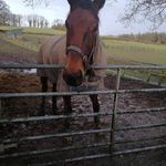 abbie - @abbie_fleming_ - Instagram