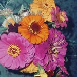 Abbie Floyd - @_abief_1 - Instagram
