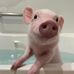 Abbie Gates - Facebook