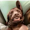 abbie glover - @that.abbie.person - TikTok