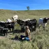 abbie - @abbie.green - TikTok