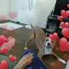 Abbie Grubb - @abbiegrubb - TikTok