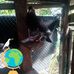 Abbie Guzman - Facebook