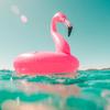 abbiehuff2131 - @abbiehuff2131 - TikTok