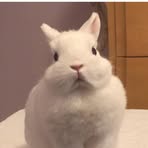 Abby Hurst - Facebook
