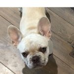 Abbiehutton - @abbiehutton - Instagram
