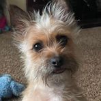 Abbie Jackson - Facebook