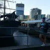 abbie jensen  - @abbiejensen - TikTok