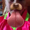 abby.keating - @abby.keating - TikTok