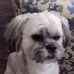 Abbie Keith - Facebook