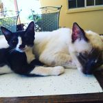 Gimseolin2 - @abbie_kim7 - Instagram