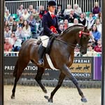 @abbiekirkbrideequestrian - Instagram