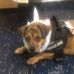 Abbie Kaminsky - Facebook