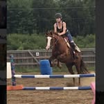 Abbie Lang - @abbie.equestrians - Instagram