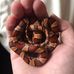 Abbie Lawrence - Facebook