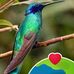 Abby Levine - Facebook