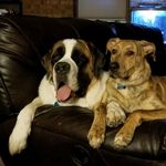 Abbie & Lilly - @lilly_and_abbie - Instagram