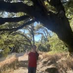 Abbi Meyer - Facebook