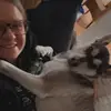 Abbie Meyer - @aabbiemeyer - TikTok