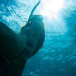 Abbie Pritchard-Meyer - @abbiepritchardmeyer - Instagram