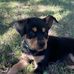 Abbie Mitchell - Facebook
