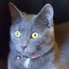 Abbie Mitchell - @abbie.mitchell6 - TikTok