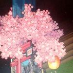 Abbie Monteith - @scitor - Instagram