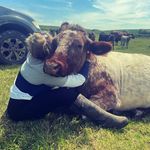 Abbie Morris - @morris.abbie - Instagram