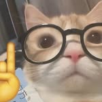 Abbie_morrow - @abbie_yayy - Instagram