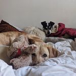 abbie & moss - @mossandrue - Instagram
