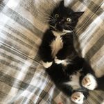 Abbie Normal - @totally.normal.abbie - Instagram