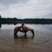 Abbie Schramm - North Gait Horse Co - Facebook