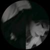 🫶🏻Abby.north🫶🏻 - @abby.north5 - TikTok