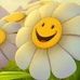 Abigail Neidleman - Facebook