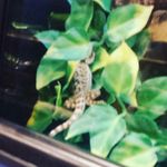 olivia-abbie-$lime - @olivia_abbie_ - Instagram