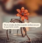 Abi Pacheco - Facebook