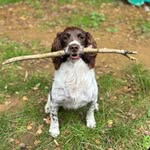 Abbie Page - @abbootshandmade - Instagram