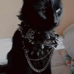 Abbie Patton - Facebook