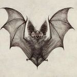 Abbie Powers - @atomicbutterflies - Instagram